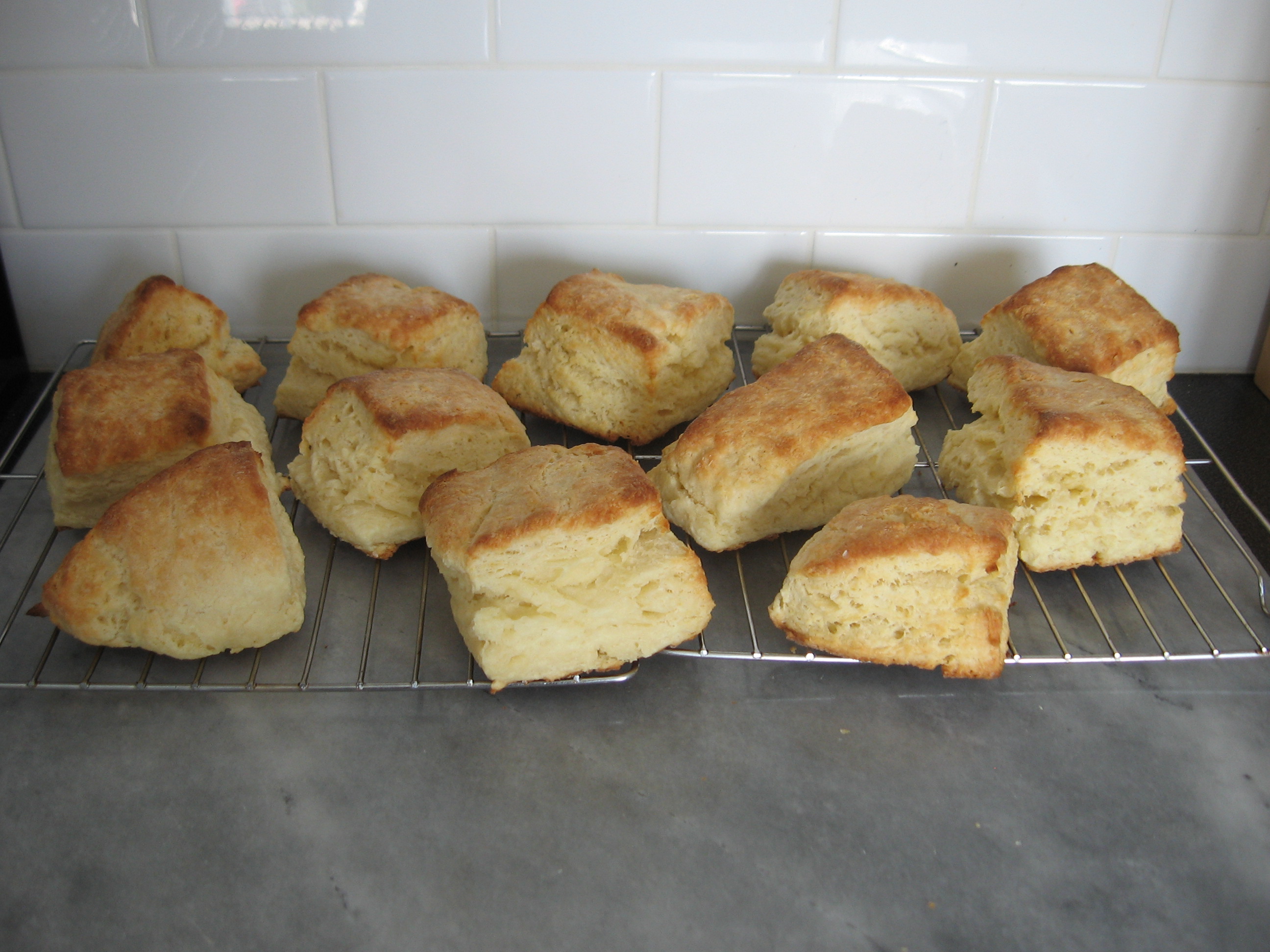 Dahlia Ain’t Messin’ Around…These are Some Serious Biscuits