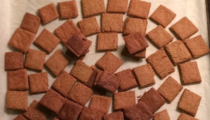 Pumpkin Peanut Butter Dog Treats or The Reincarnation of Percy the Pumpkin